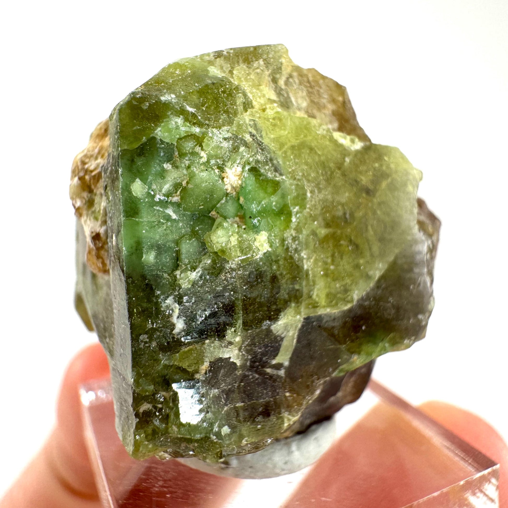 Andradite-Grossular Garnet | natural green crystal, raw mineral specimen from Mali