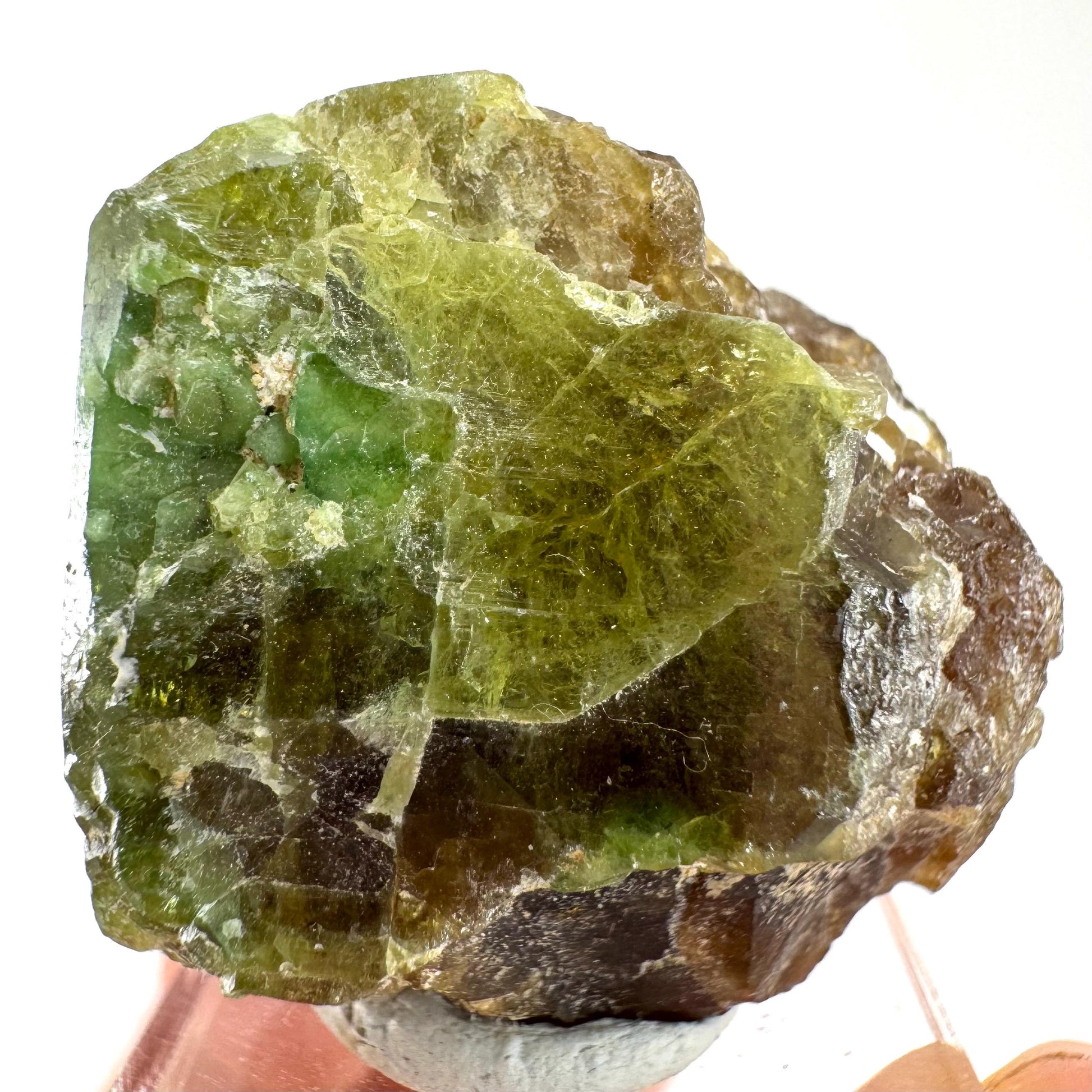 Andradite-Grossular Garnet | natural green crystal, raw mineral specimen from Mali