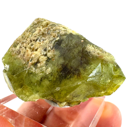 Andradite-Grossular Garnet | natural green crystal, raw mineral specimen from Mali
