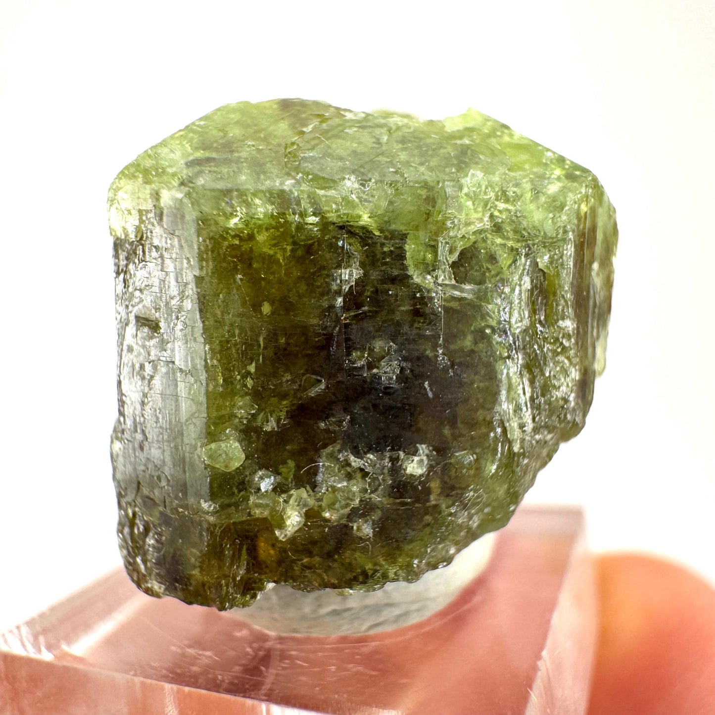 Andradite-Grossular Garnet | natural green crystal, raw mineral specimen from Mali