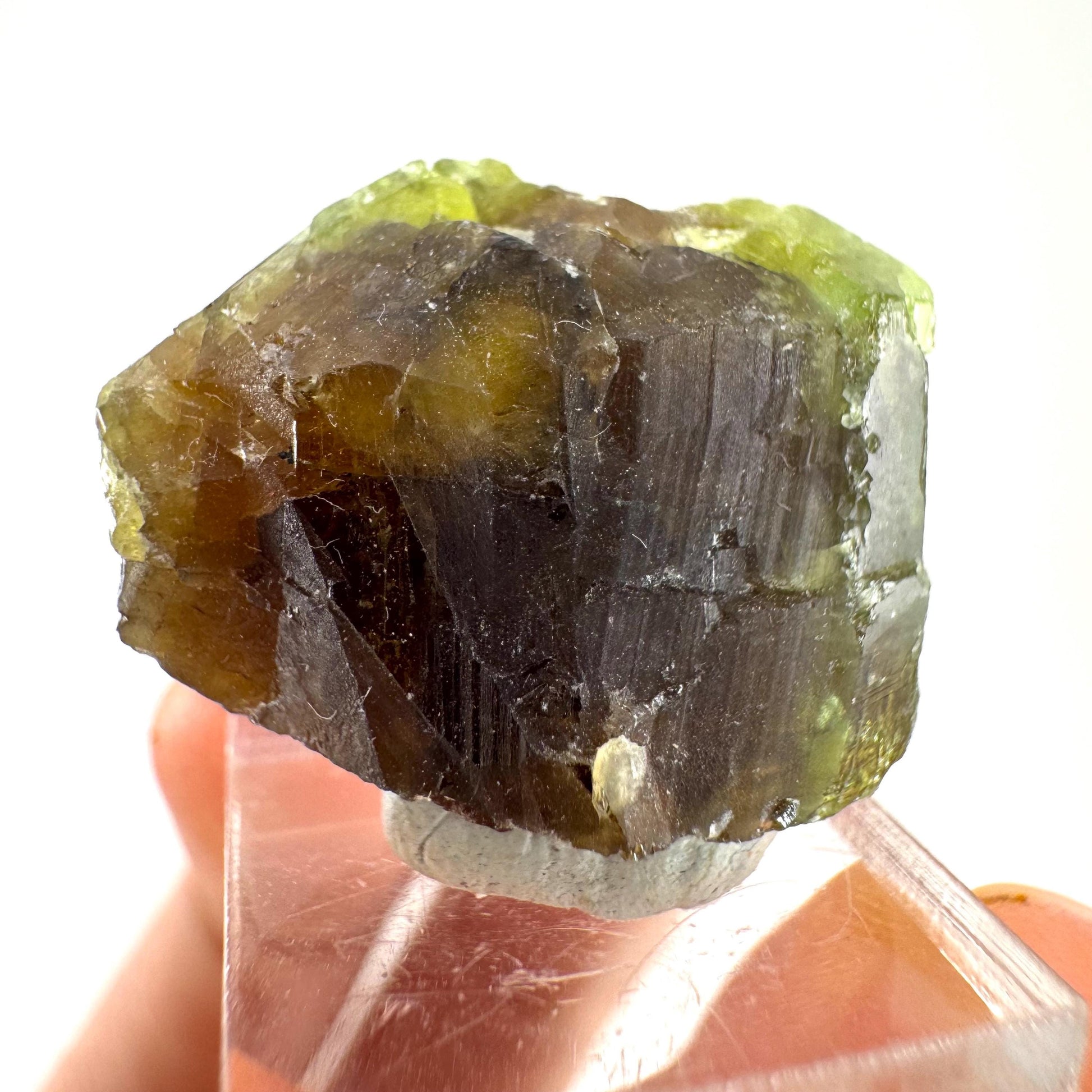 Andradite-Grossular Garnet | natural green crystal, raw mineral specimen from Mali