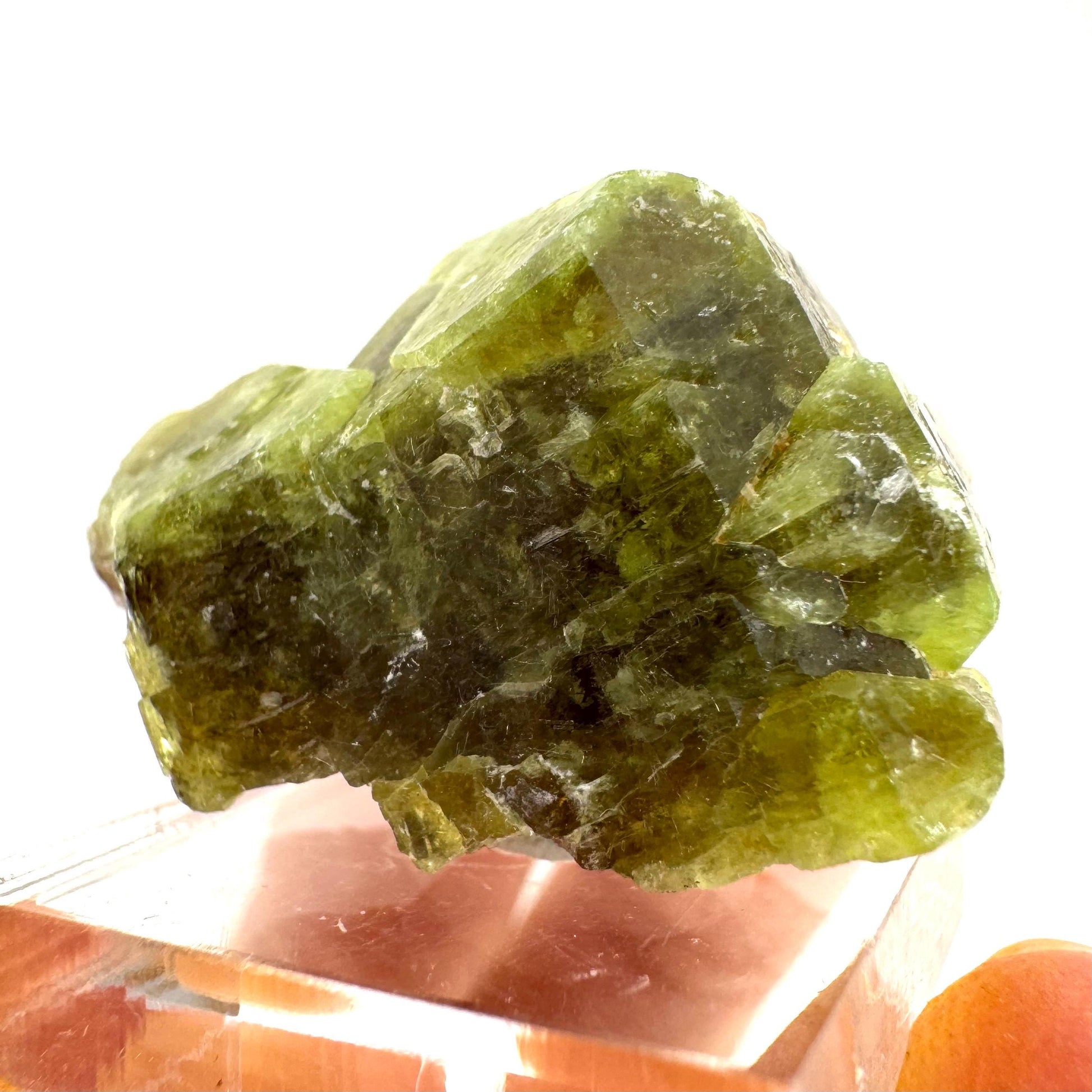 Andradite-Grossular Garnet | natural green crystal, raw mineral specimen from Mali