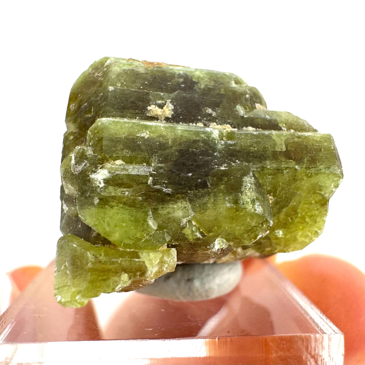 Andradite-Grossular Garnet | natural green crystal, raw mineral specimen from Mali