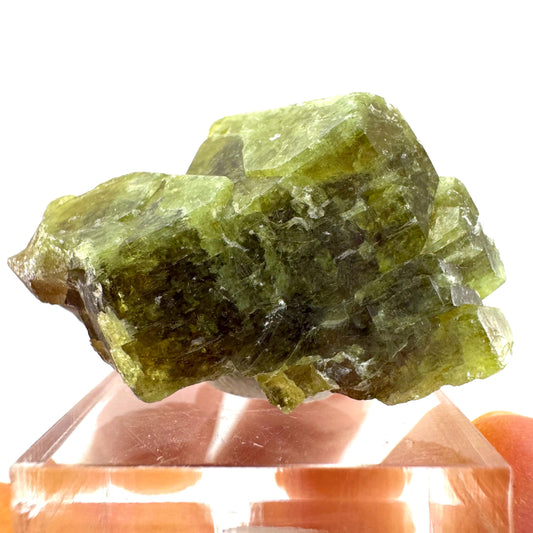 Andradite-Grossular Garnet | natural green crystal, raw mineral specimen from Mali