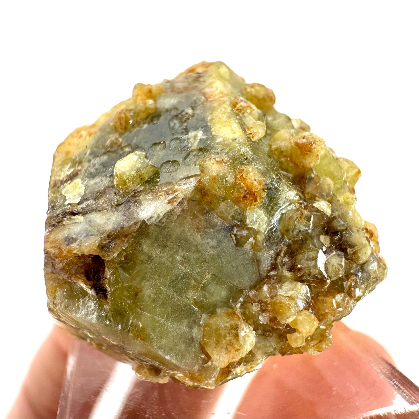 Andradite-Grossular Garnet | natural green crystal, raw mineral specimen from Mali