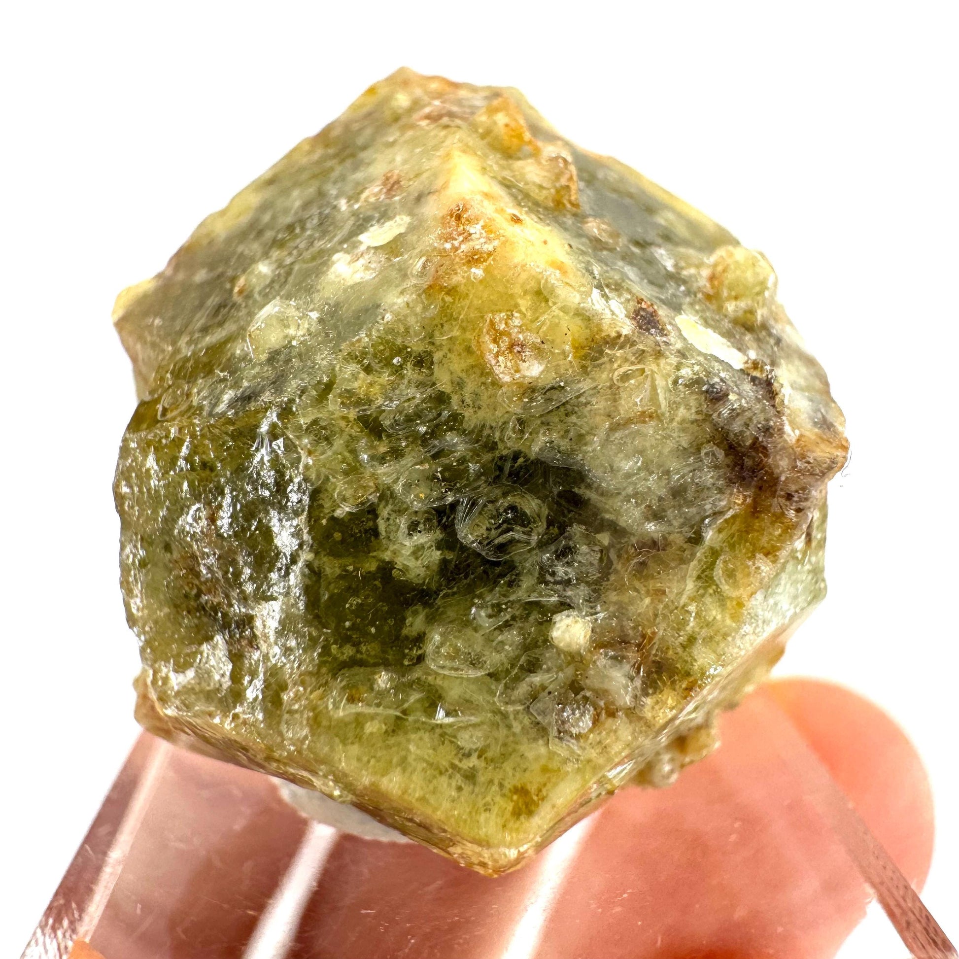Andradite-Grossular Garnet | natural green crystal, raw mineral specimen from Mali