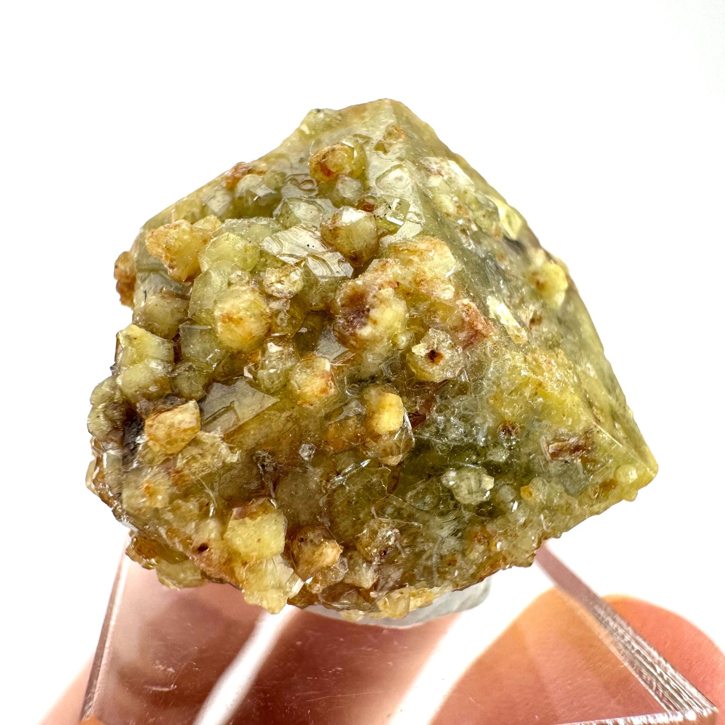 Andradite-Grossular Garnet | natural green crystal, raw mineral specimen from Mali