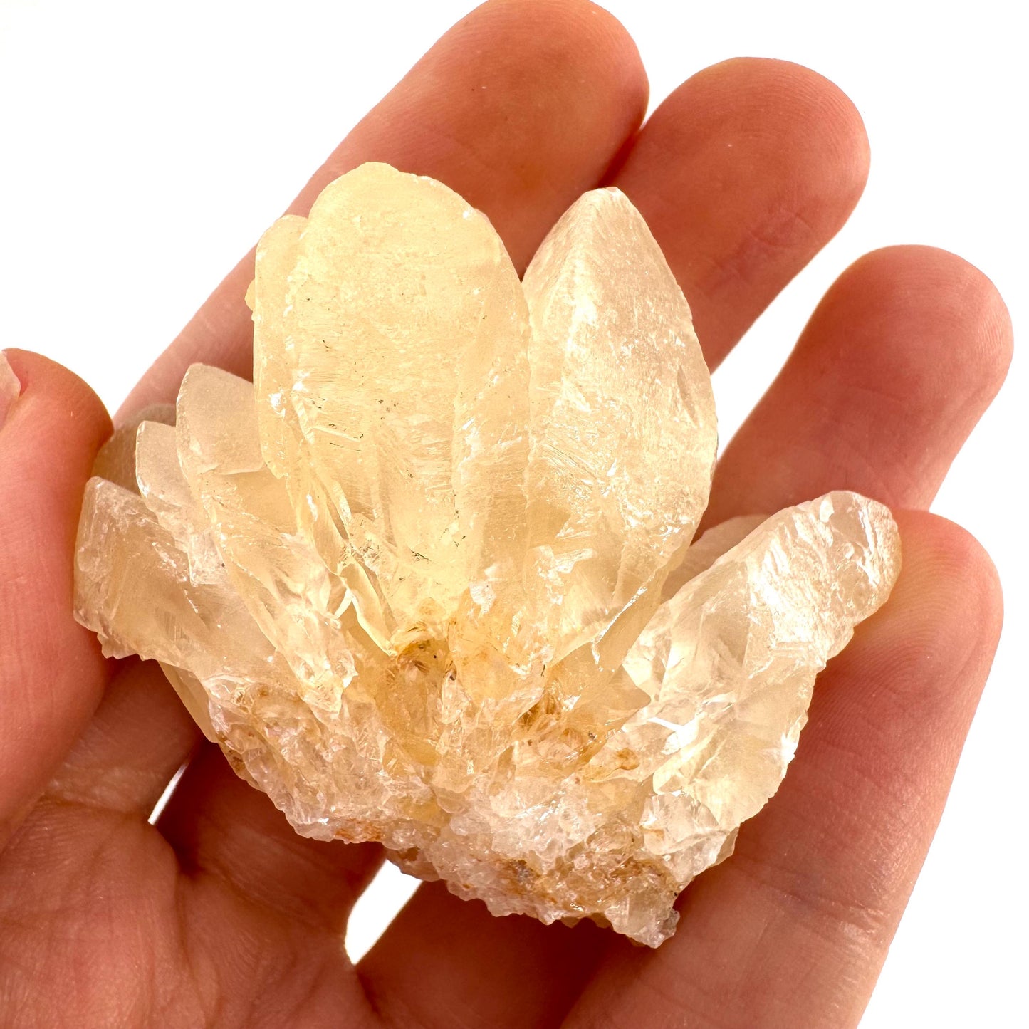 Fluorescent Calcite | UV-reactive raw crystal cluster, natural mineral specimen