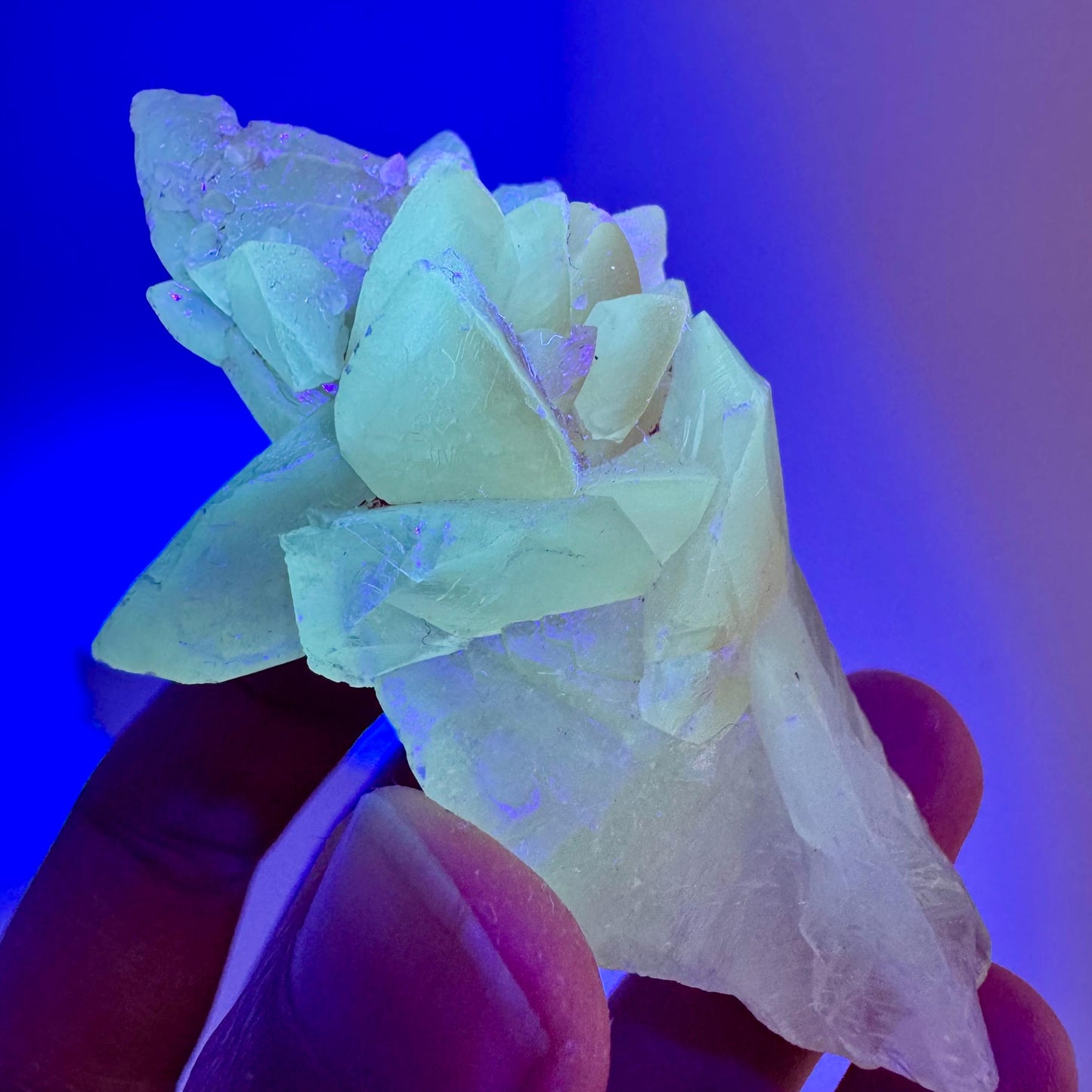 Fluorescent Calcite | UV-reactive raw crystal cluster, natural mineral specimen