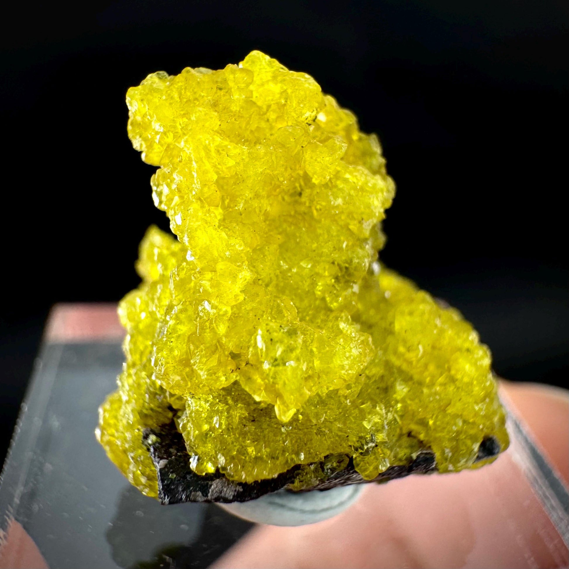 Ettringite Crystal Specimen | N'Chwaning Mine, South Africa