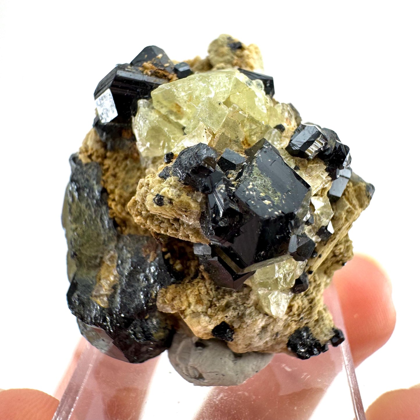 Chlorophane Fluorite w/ Black Tourmaline | natural crystal, rare mineral specimen from Erongo, Namibia