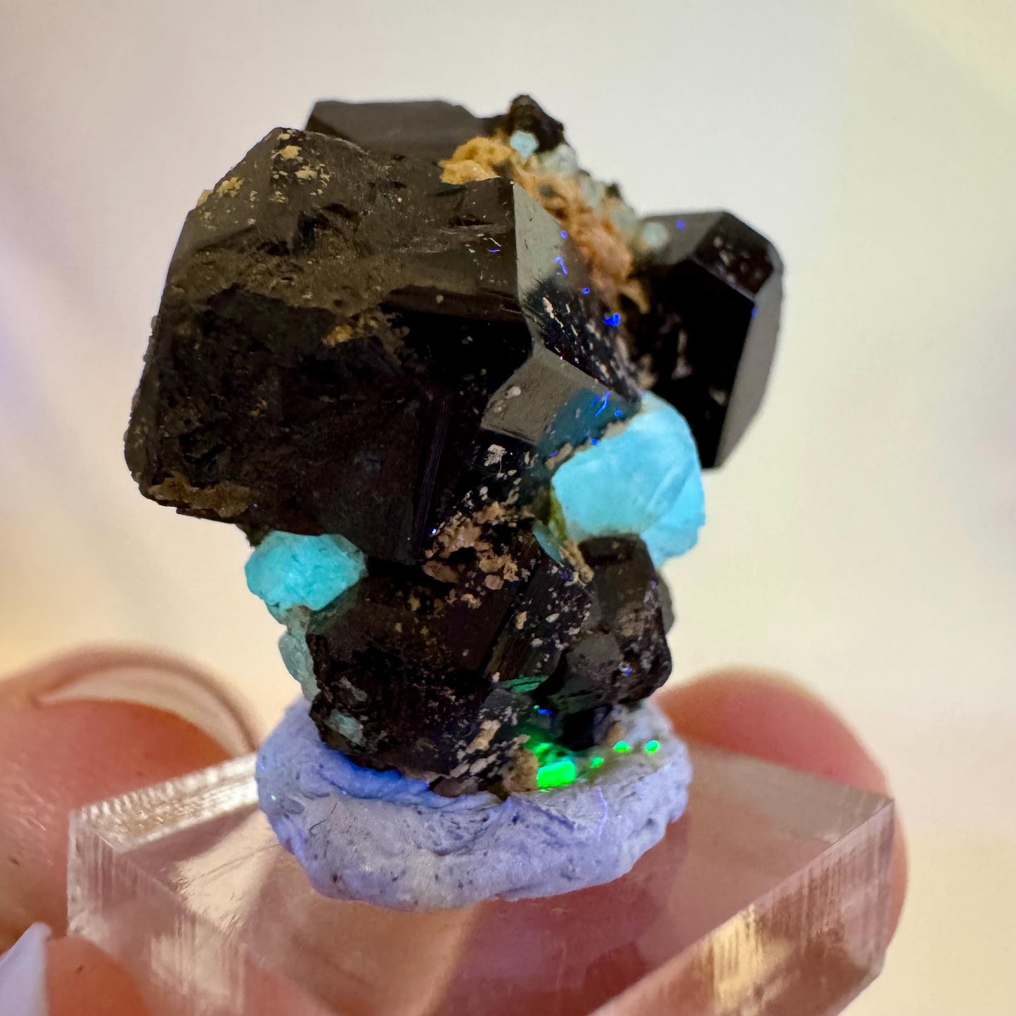 Chlorophane Fluorite w/ Black Tourmaline | natural crystal, rare mineral specimen from Erongo, Namibia