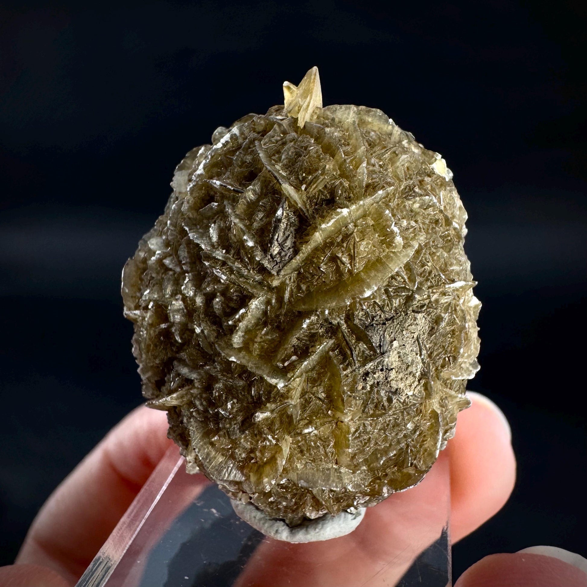 Golden Selenite Rosette | Fluorescent UV Reactive Gypsum Crystal