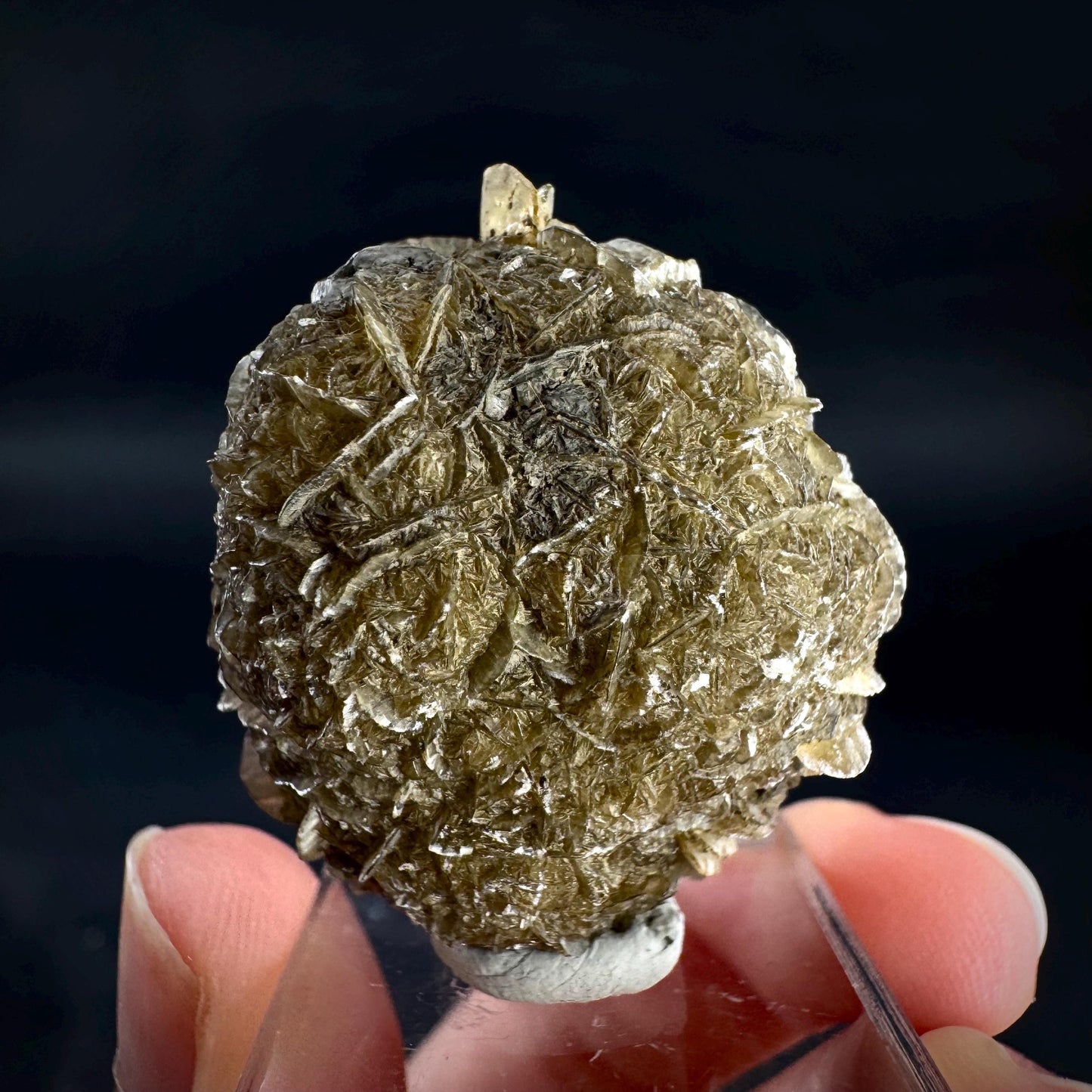 Golden Selenite Rosette | Fluorescent UV Reactive Gypsum Crystal