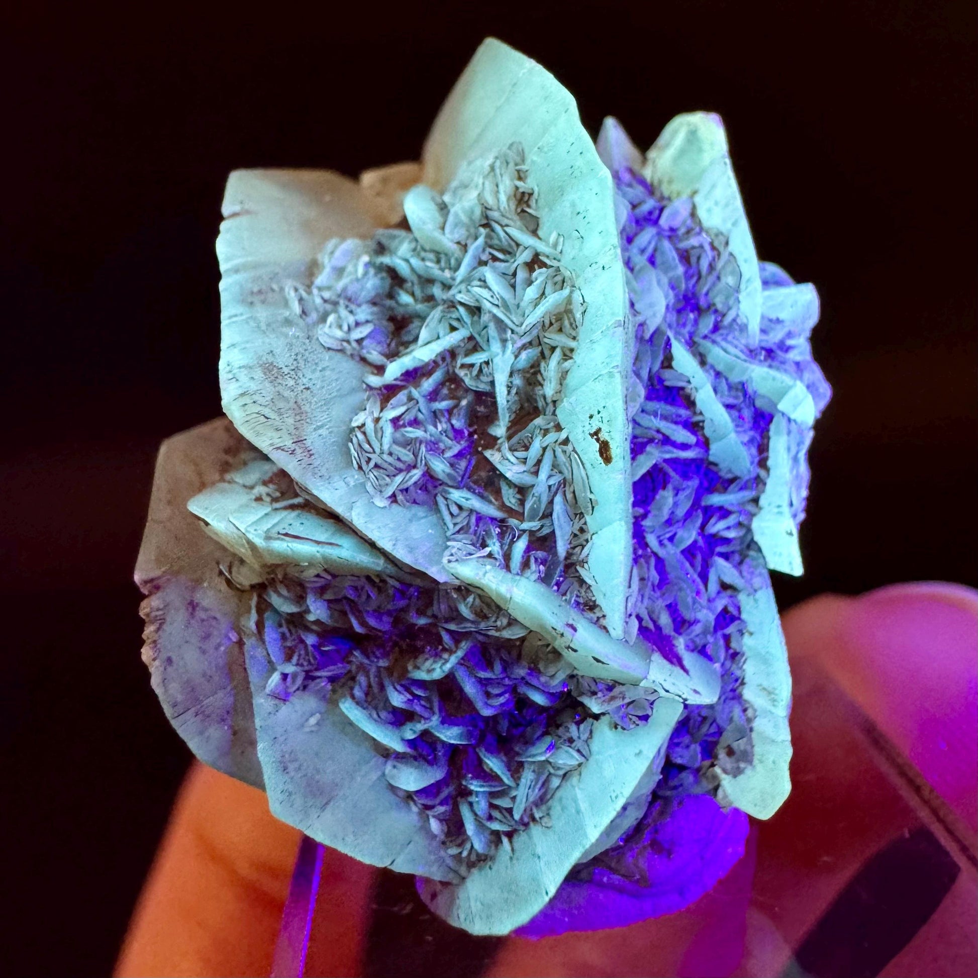 Golden Selenite Rosette | Fluorescent UV Reactive Gypsum Crystal