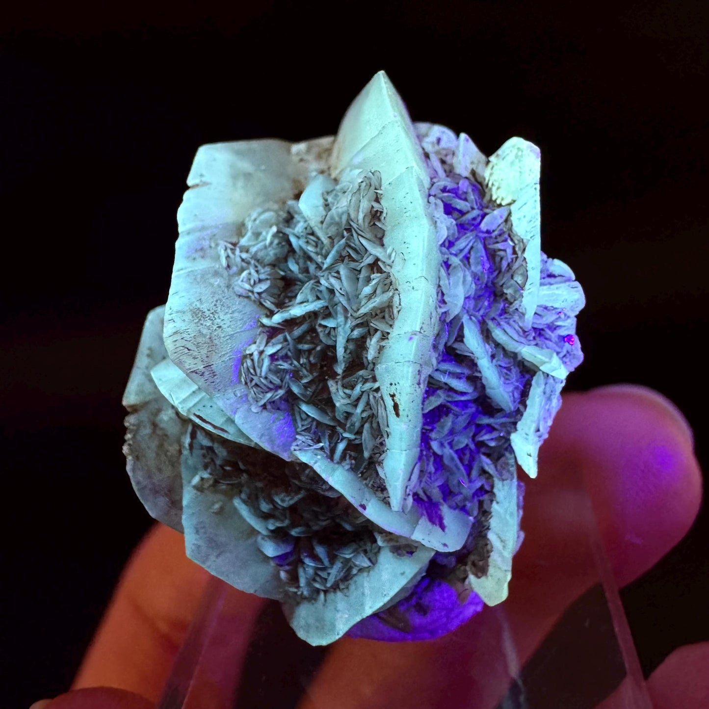 Golden Selenite Rosette | Fluorescent UV Reactive Gypsum Crystal