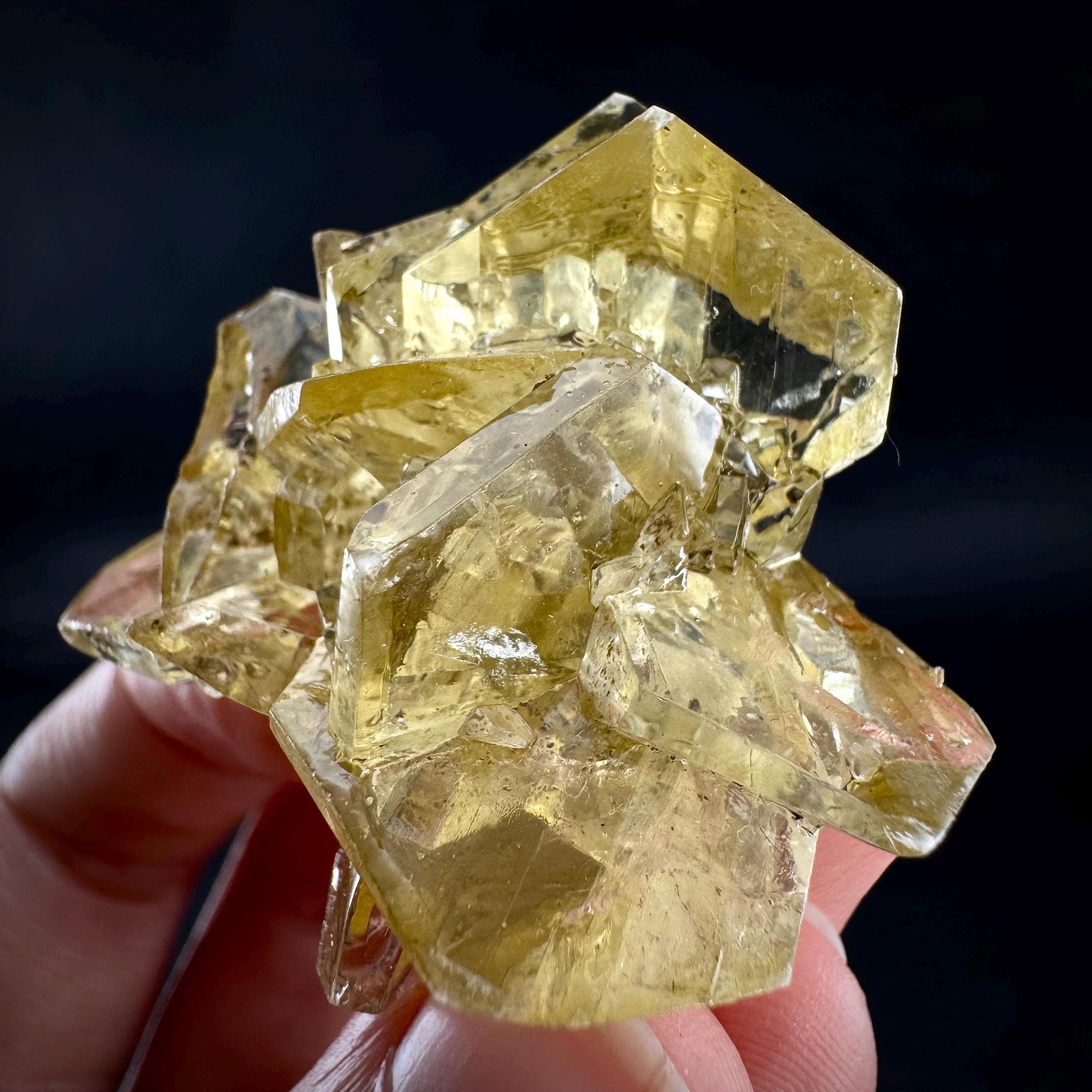 Golden Selenite Rosette | Fluorescent UV Reactive Gypsum Crystal