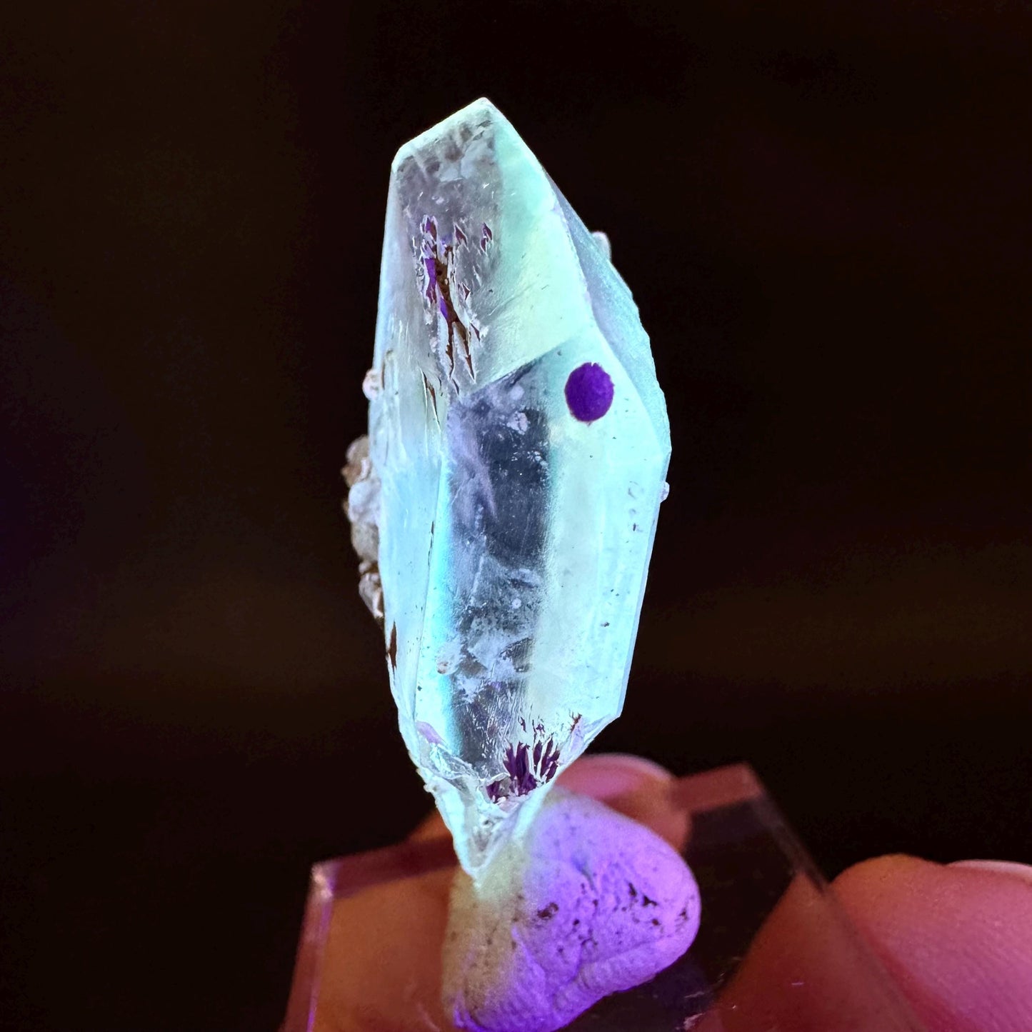 Golden Selenite Blade | Fluorescent UV Reactive Gypsum Crystal