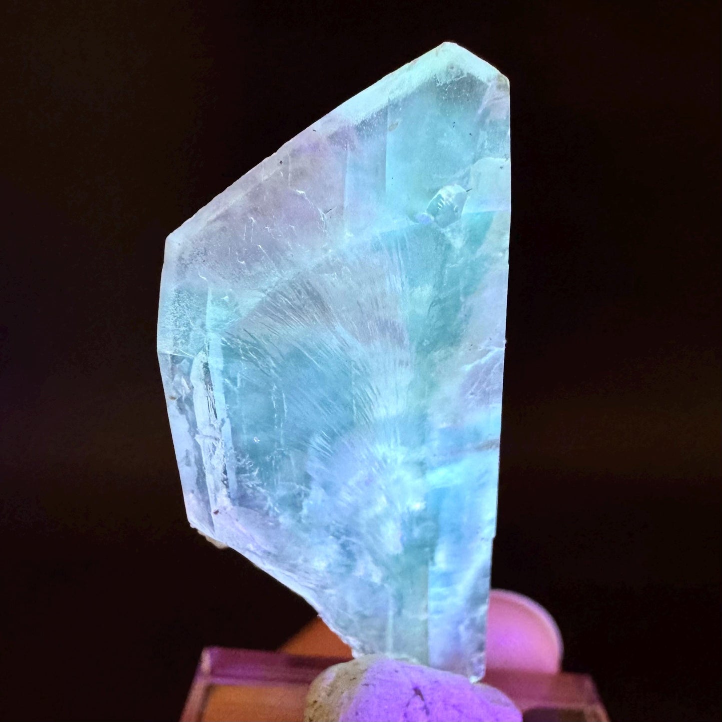 Golden Selenite Blade | Fluorescent UV Reactive Gypsum Crystal