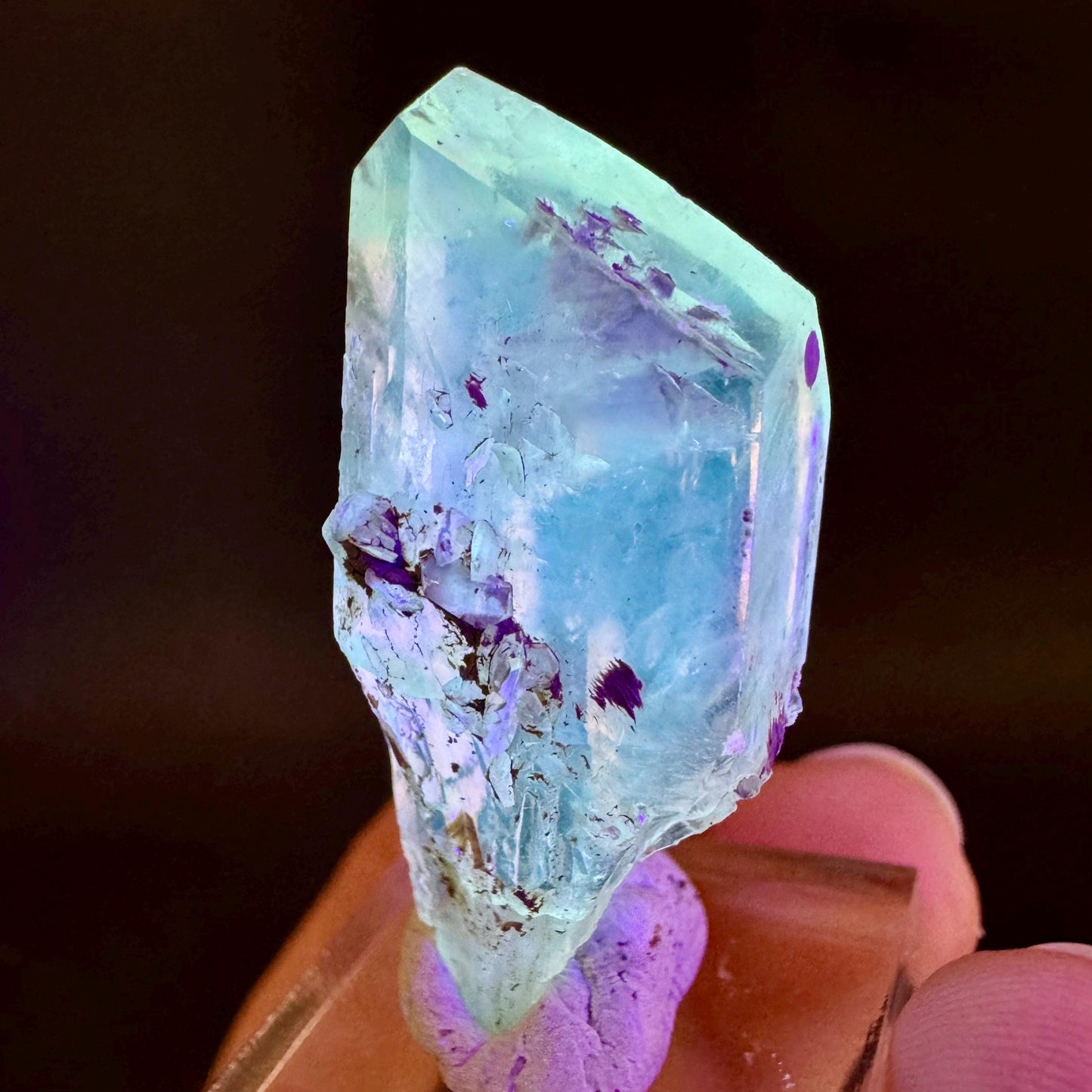 Golden Selenite Blade | Fluorescent UV Reactive Gypsum Crystal