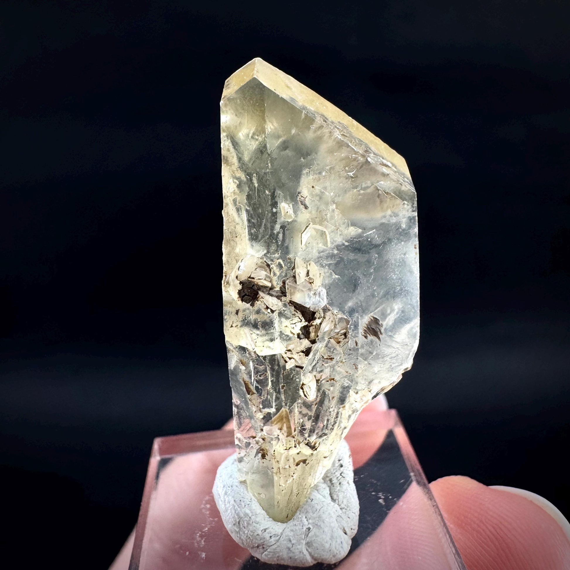 Golden Selenite Blade | Fluorescent UV Reactive Gypsum Crystal