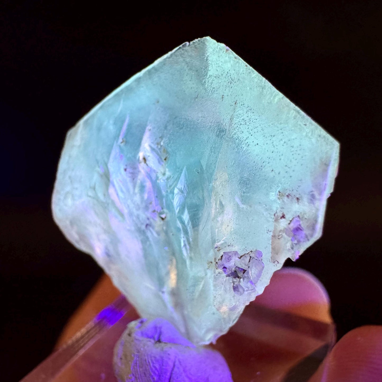 Golden Selenite Blade | Fluorescent UV Reactive Gypsum Crystal