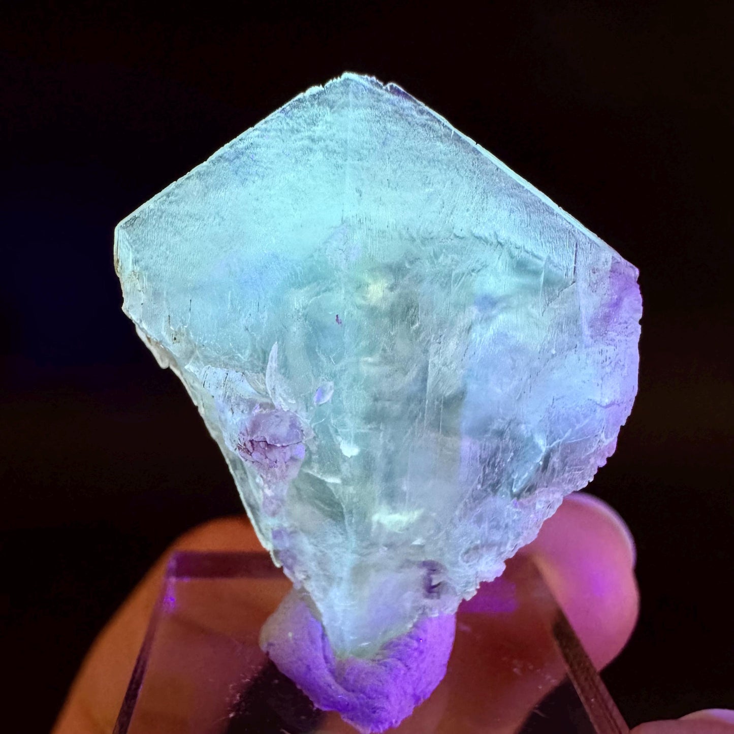 Golden Selenite Blade | Fluorescent UV Reactive Gypsum Crystal