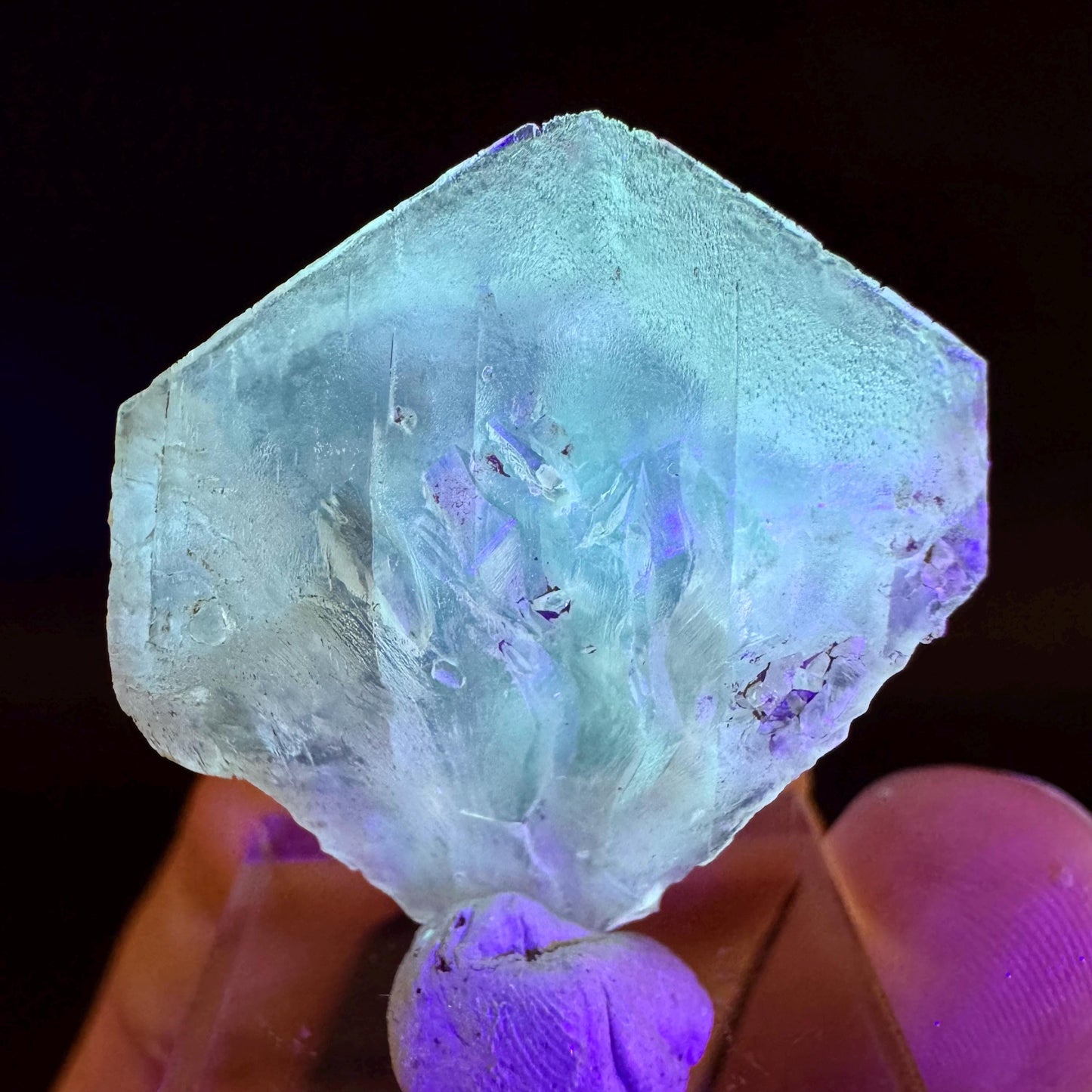Golden Selenite Blade | Fluorescent UV Reactive Gypsum Crystal