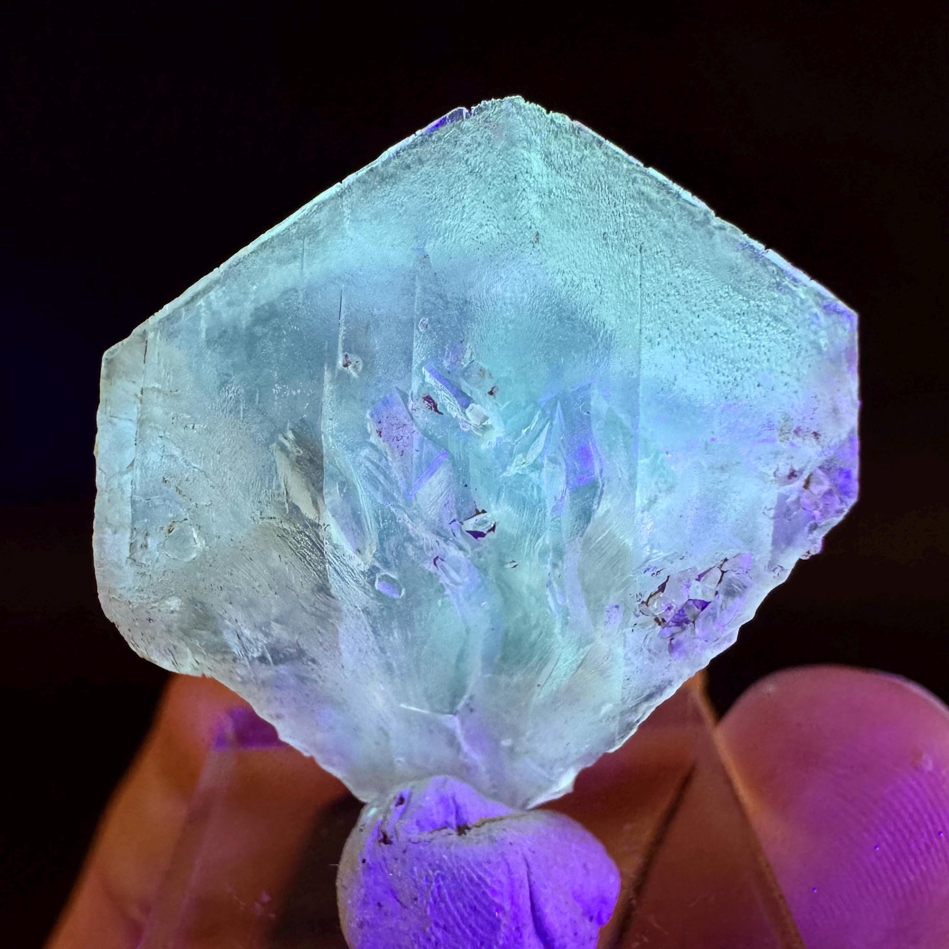 Golden Selenite Blade | Fluorescent UV Reactive Gypsum Crystal