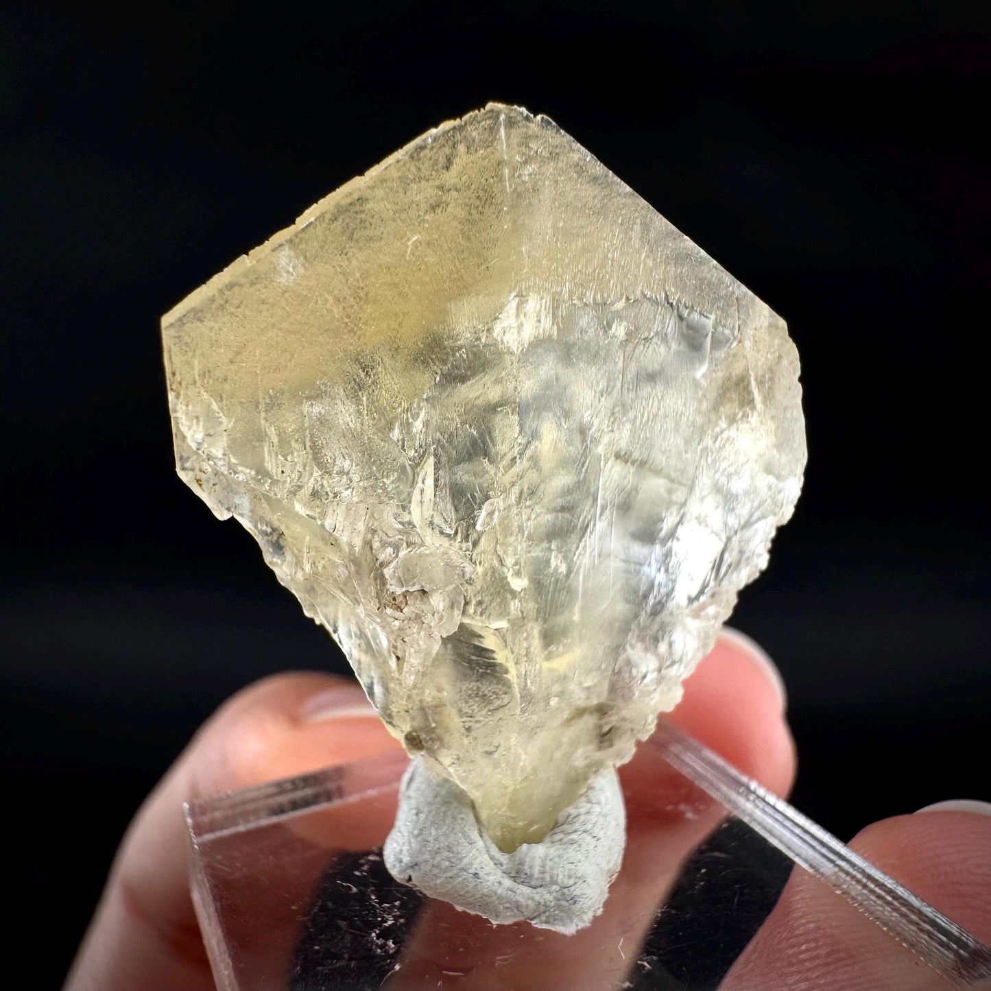 Golden Selenite Blade | Fluorescent UV Reactive Gypsum Crystal