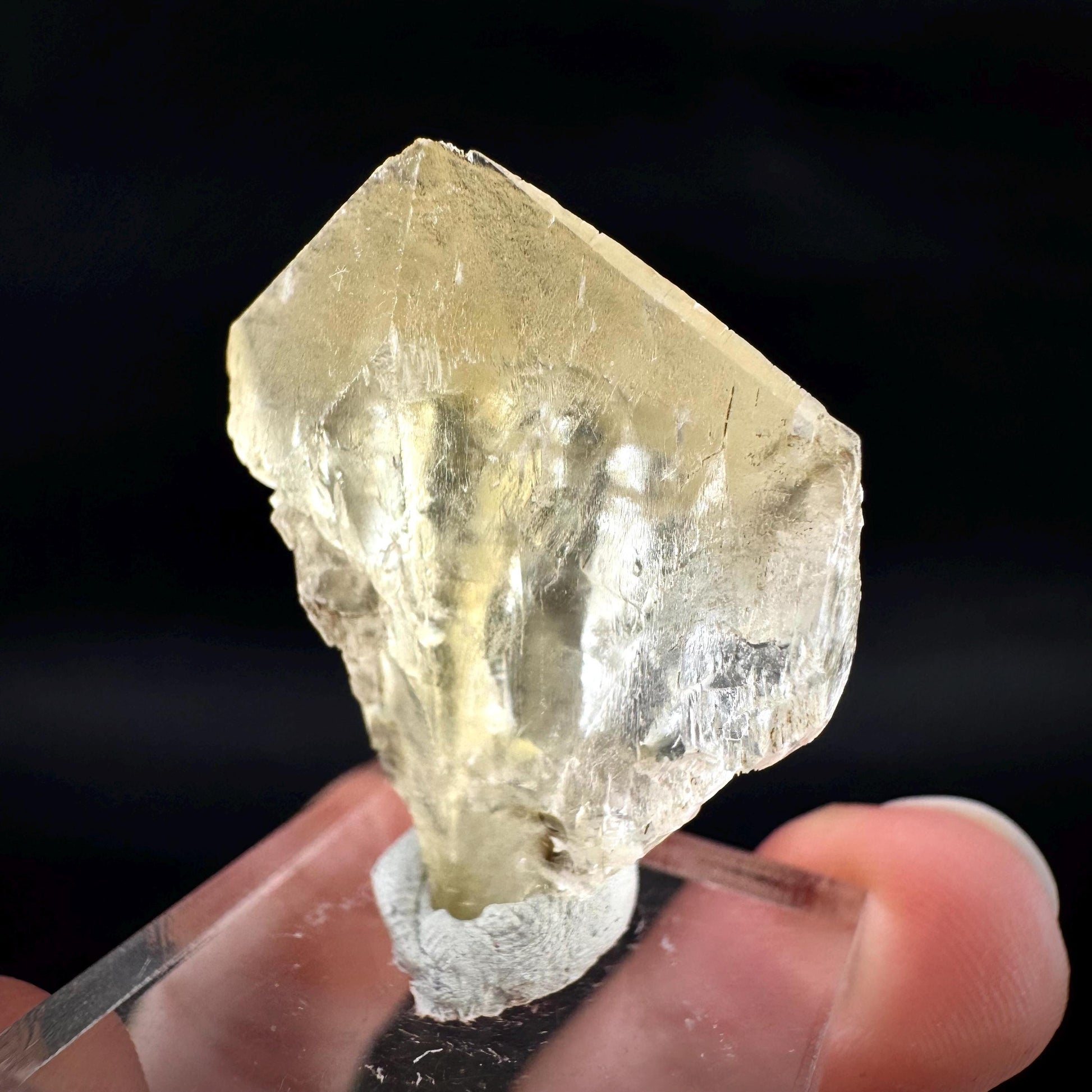 Golden Selenite Blade | Fluorescent UV Reactive Gypsum Crystal