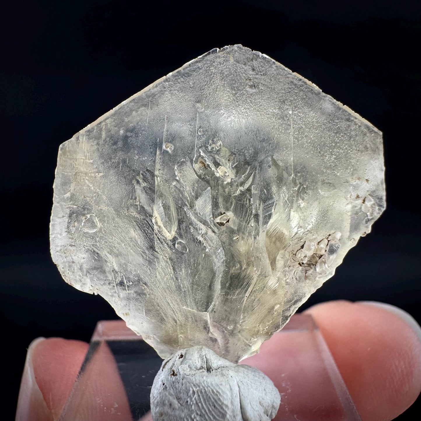 Golden Selenite Blade | Fluorescent UV Reactive Gypsum Crystal