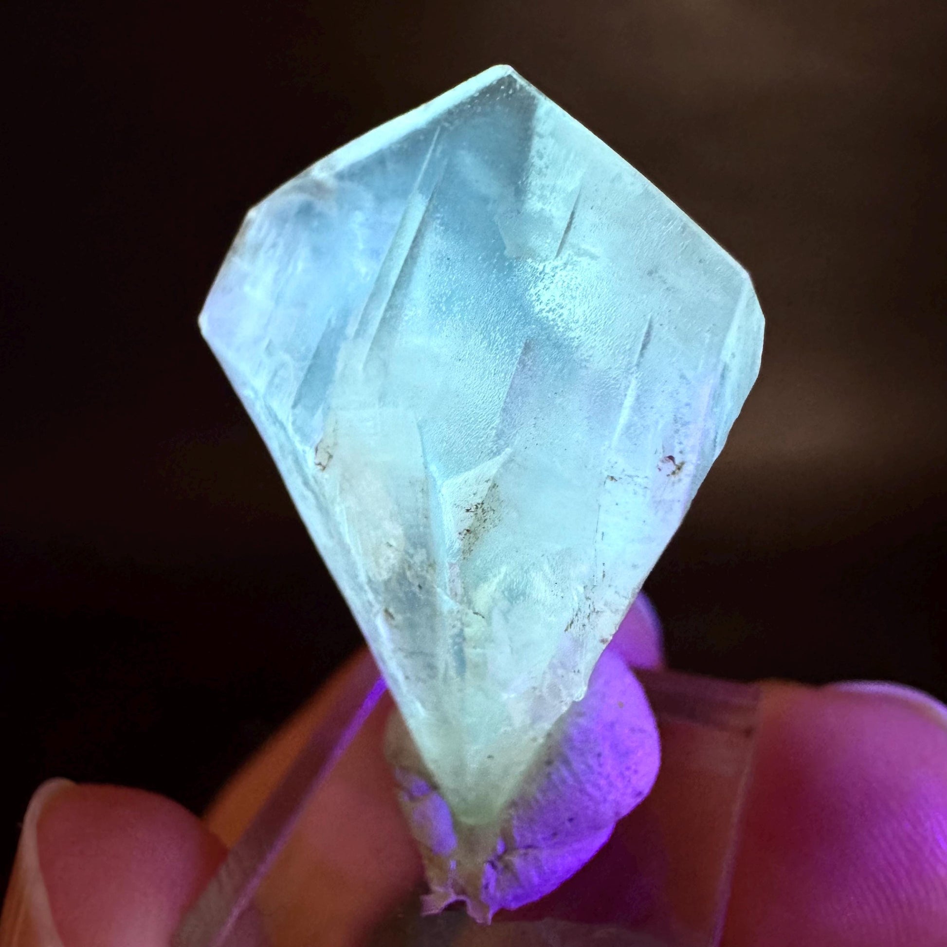 Golden Selenite Blade | Fluorescent UV Reactive Gypsum Crystal