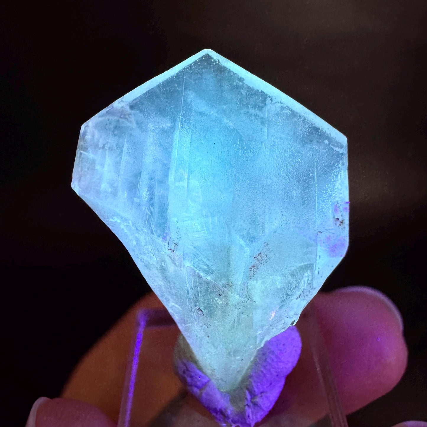 Golden Selenite Blade | Fluorescent UV Reactive Gypsum Crystal