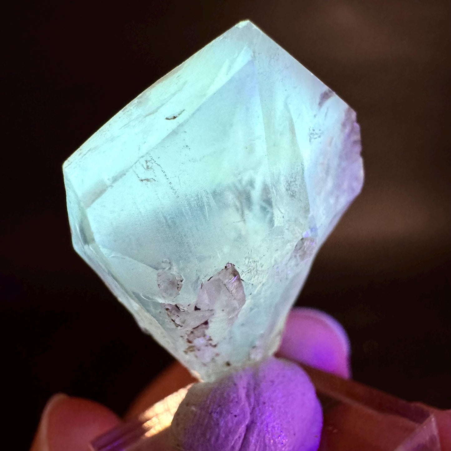 Golden Selenite Blade | Fluorescent UV Reactive Gypsum Crystal