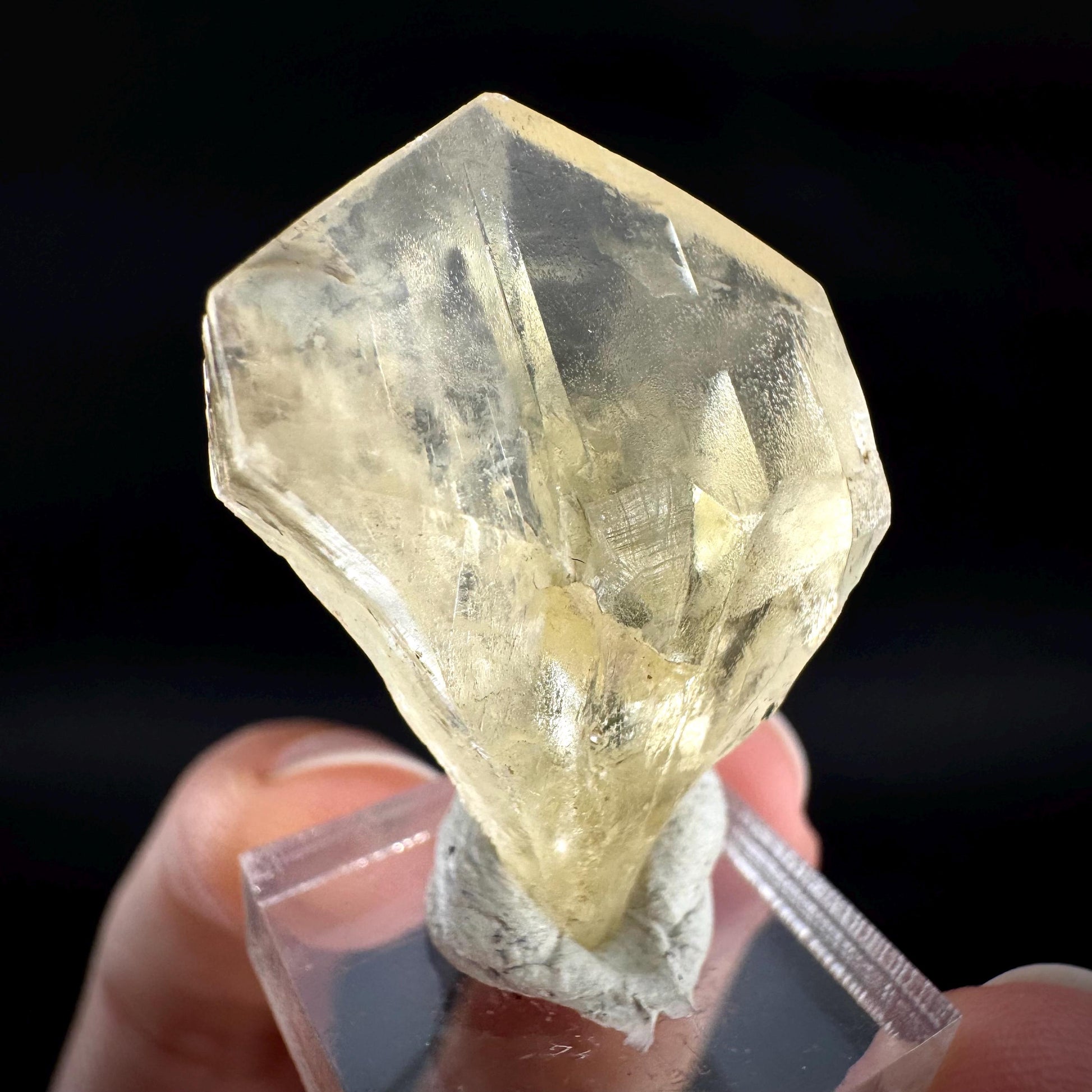 Golden Selenite Blade | Fluorescent UV Reactive Gypsum Crystal