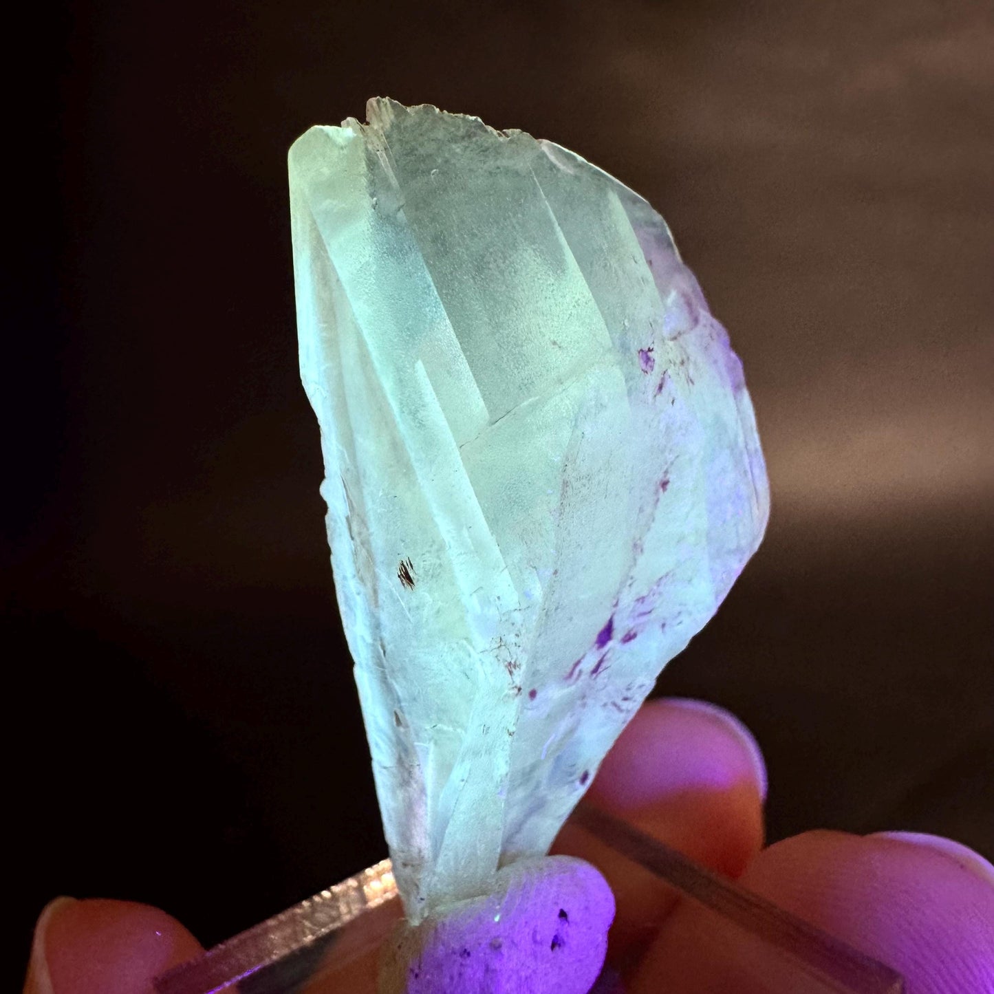 Golden Selenite Blade | Fluorescent UV Reactive Gypsum Crystal