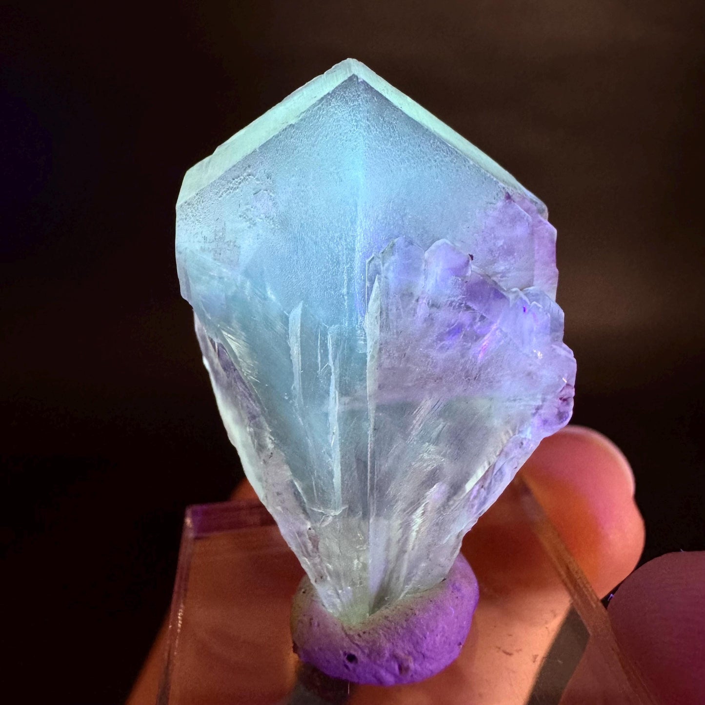 Golden Selenite Blade | Fluorescent UV Reactive Gypsum Crystal