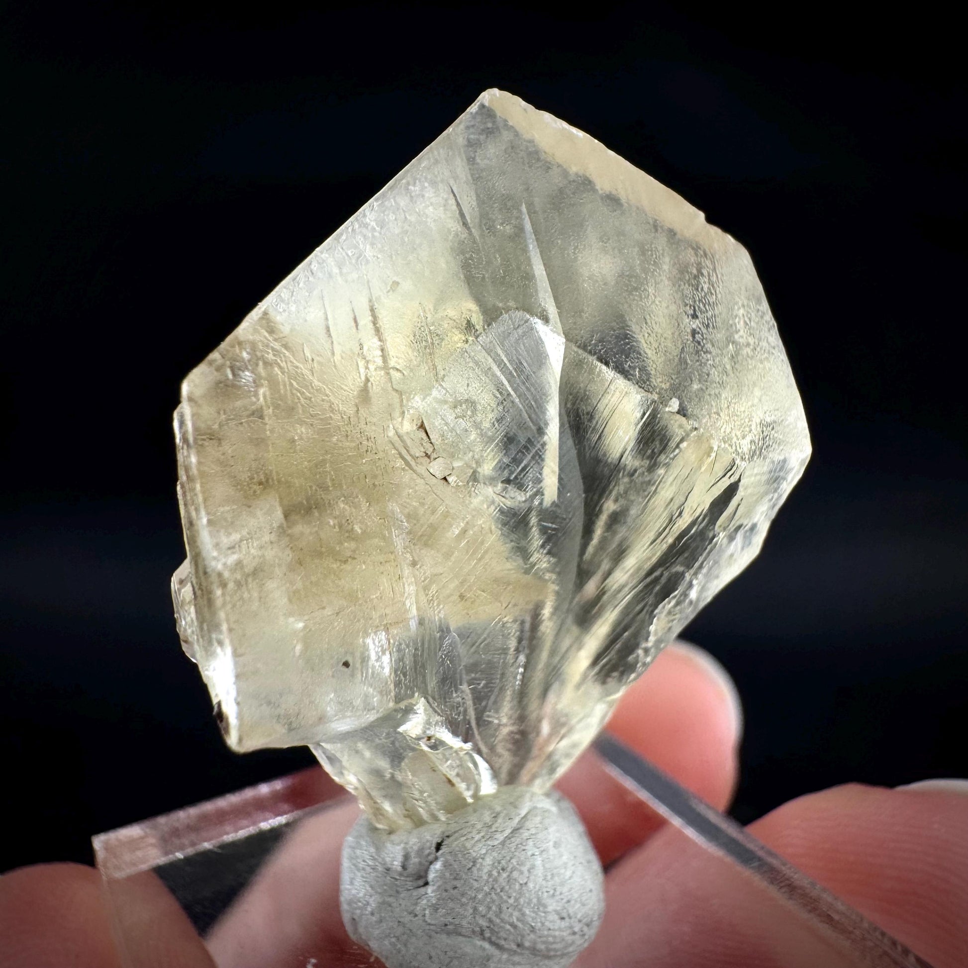 Golden Selenite Blade | Fluorescent UV Reactive Gypsum Crystal