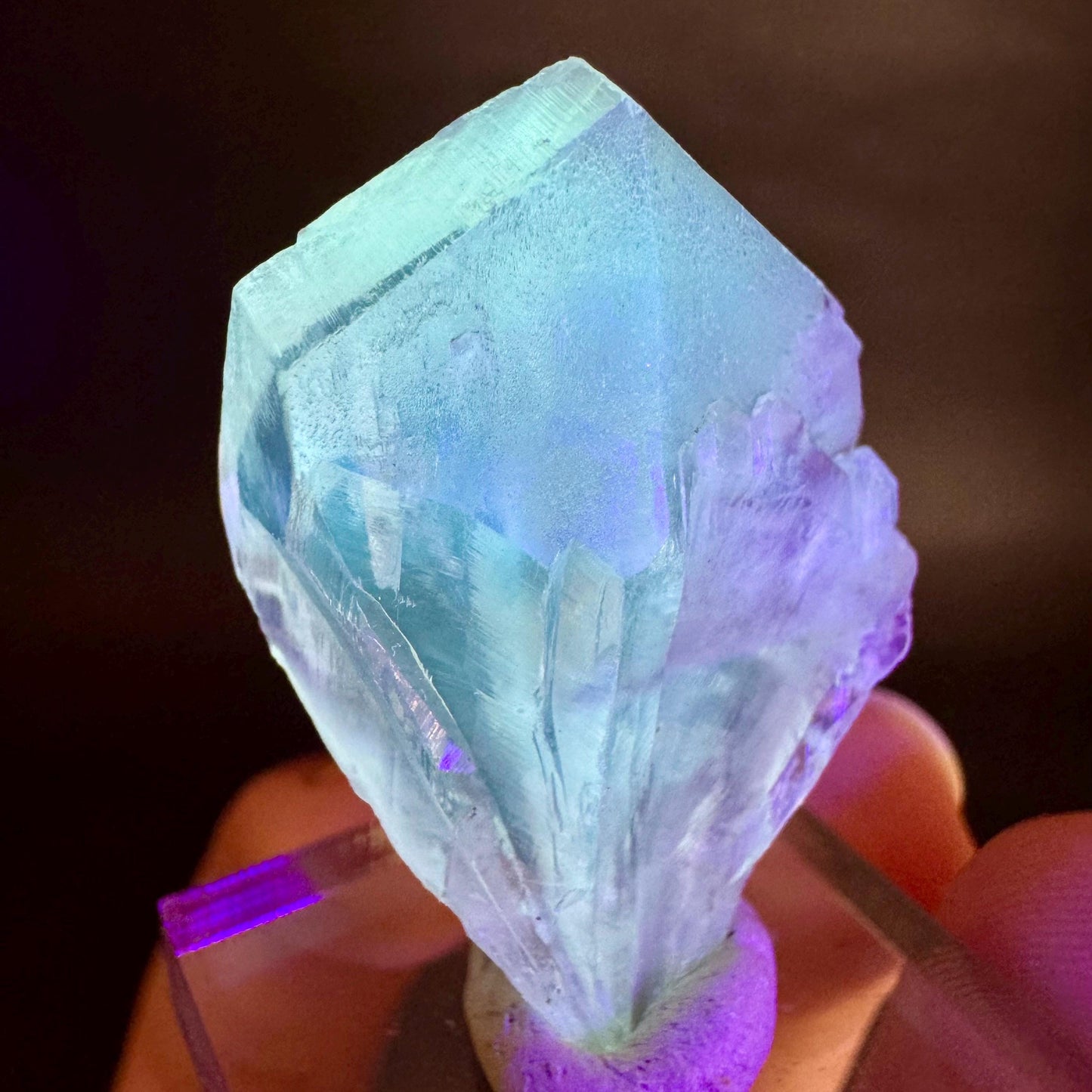 Golden Selenite Blade | Fluorescent UV Reactive Gypsum Crystal