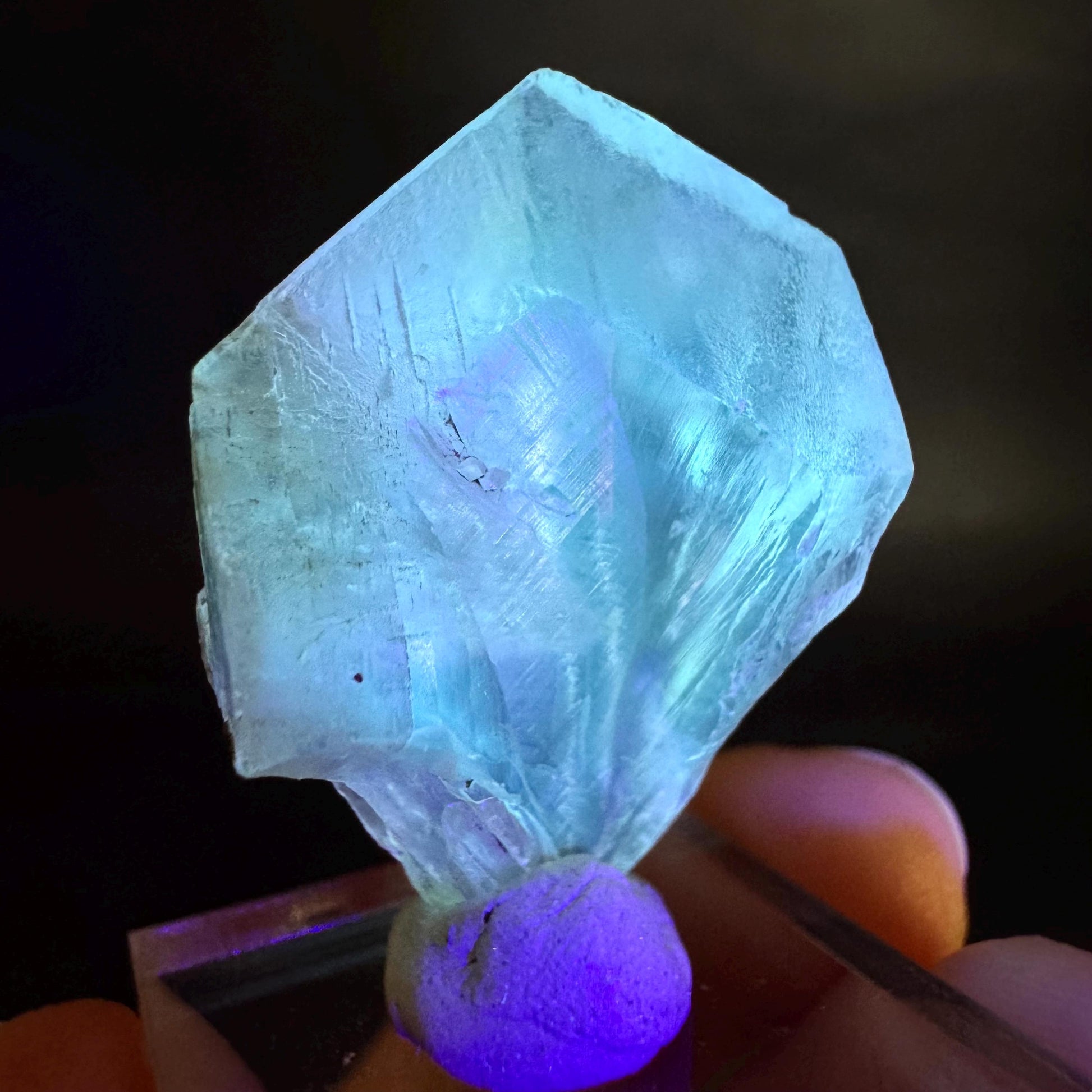 Golden Selenite Blade | Fluorescent UV Reactive Gypsum Crystal