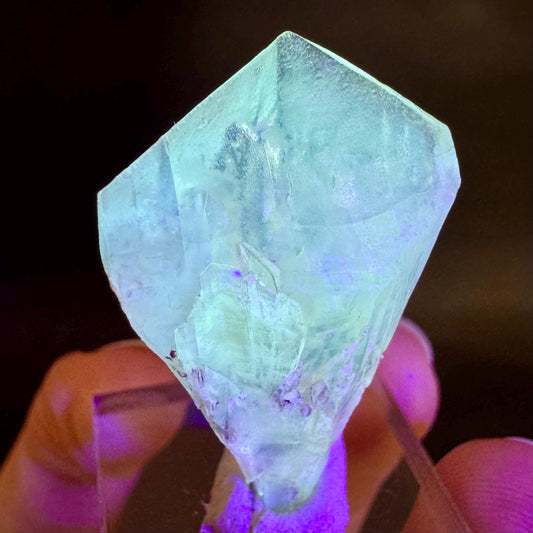 Golden Selenite Blade | Fluorescent UV Reactive Gypsum Crystal