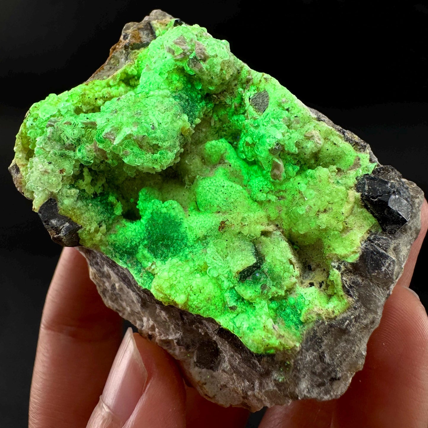 UV Reactive Hyalite Opal | Fluorescent Mineral Specimen from Namibia