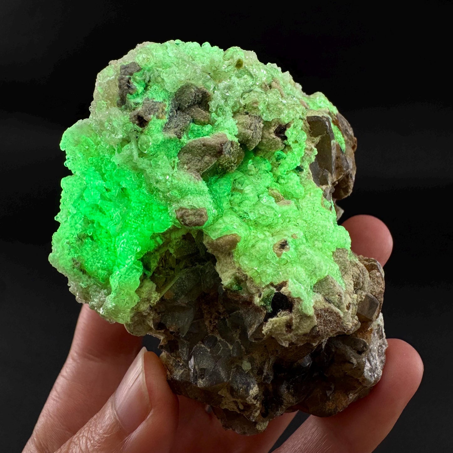 UV Reactive Hyalite Opal on Smoky Quartz | Fluorescent Mineral Specimen from Namibia
