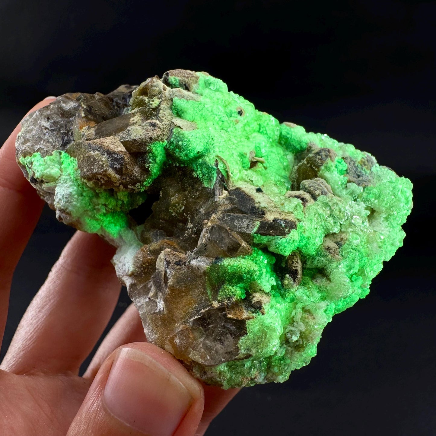 UV Reactive Hyalite Opal on Smoky Quartz | Fluorescent Mineral Specimen from Namibia