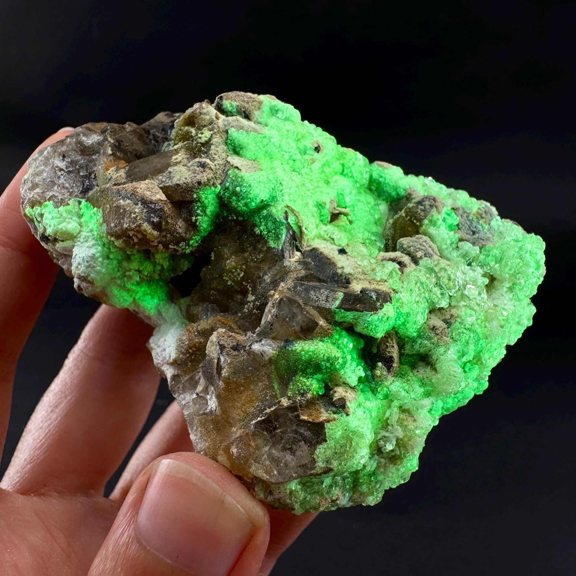 UV Reactive Hyalite Opal on Smoky Quartz | Fluorescent Mineral Specimen from Namibia