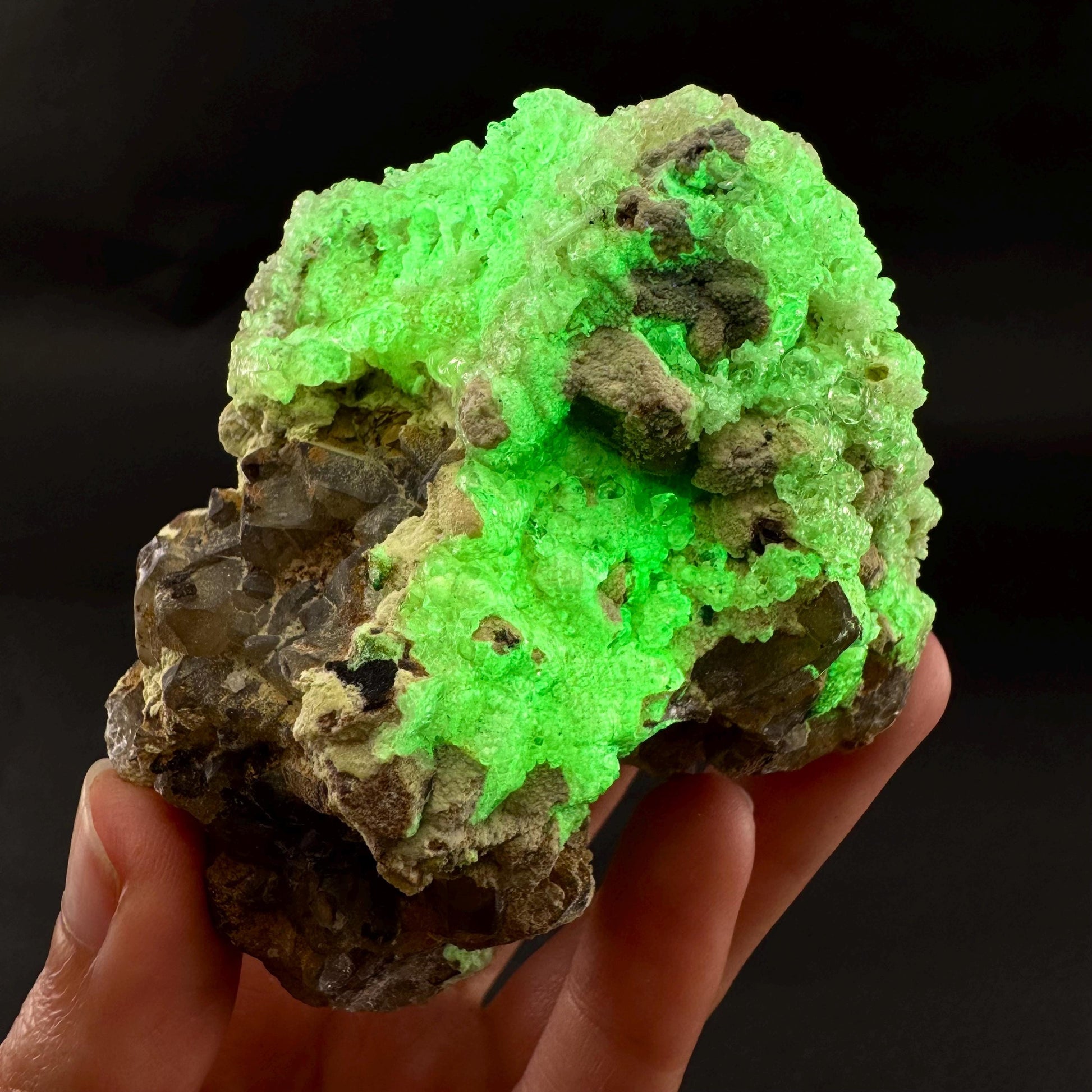 UV Reactive Hyalite Opal on Smoky Quartz | Fluorescent Mineral Specimen from Namibia
