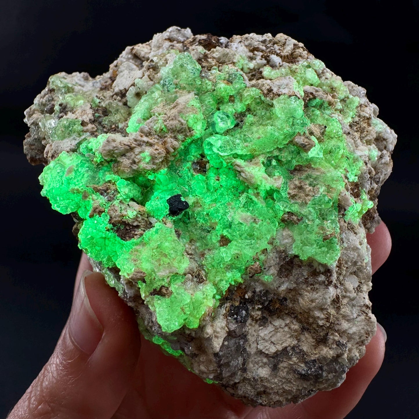 UV Reactive Hyalite Opal | Fluorescent Mineral Specimen from Namibia