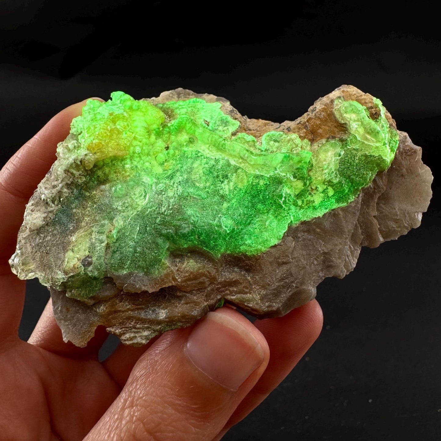UV Reactive Hyalite Opal | Fluorescent Mineral Specimen from Namibia