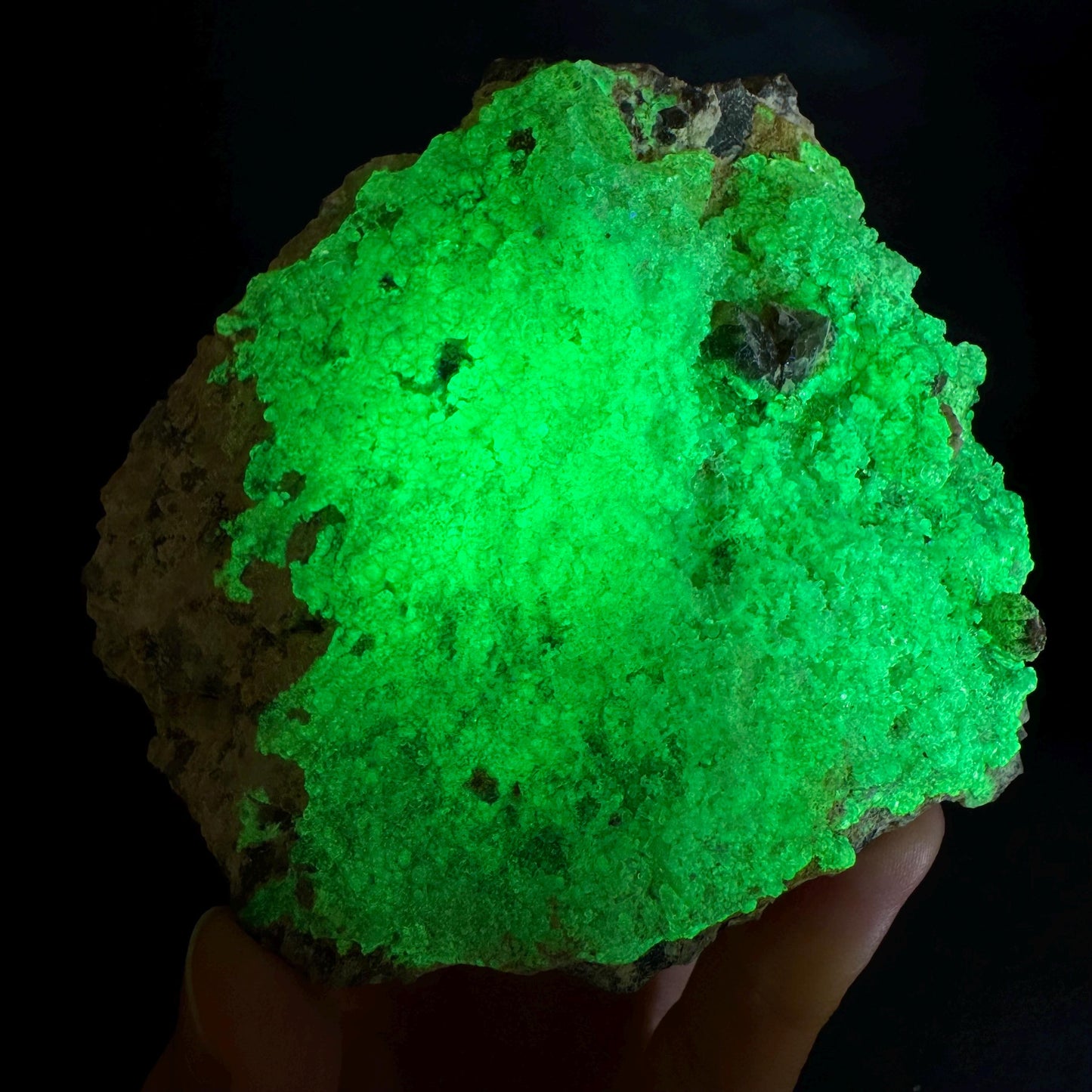 UV Reactive Hyalite Opal | Fluorescent Mineral Specimen from Namibia